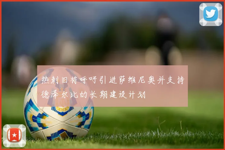 热刺旧将呼吁引进萨维尼奥并支持德泽尔比的长期建设计划